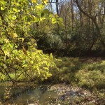 Beautiful view of River at Grinnell Mill Bed and Breakfast in Yellow Springs