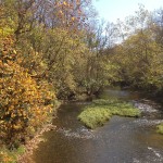 View of River at Grinnell Mill Historic Bed & Breakfast in Yellow Springs